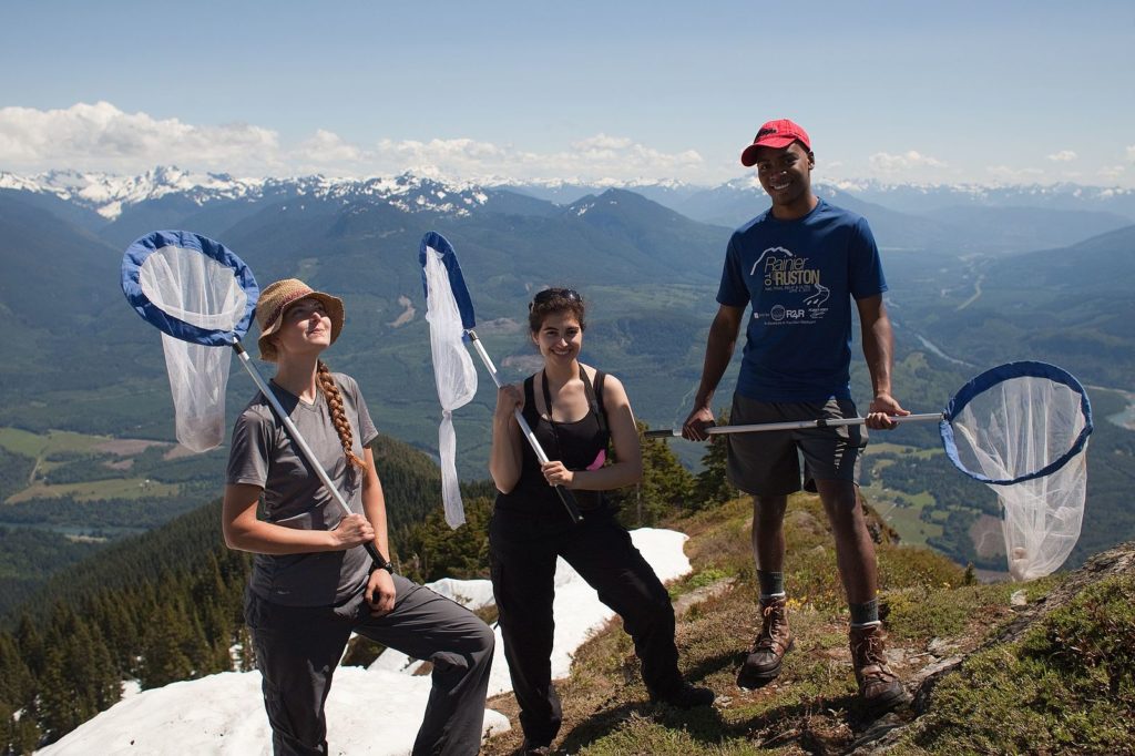 Three citizen scientists stand atop a mountain holding butterfly nets.
