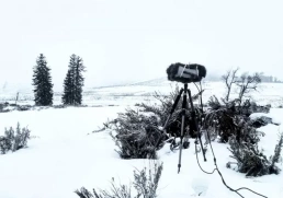 Snowy, wintry view of microphones installed in a binaural configuration to record natural sounds in Yellowstone National Park. Photo courtesy Jacob Job