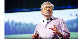 Bernie Krause, an older man standing in front of a picture of a forest as he gives a TED talk
