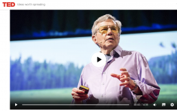 Bernie Krause, an older man standing in front of a picture of a forest as he gives a TED talk