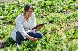 Woman outside in a field bending down while holding a tablet that helps her conduct her research