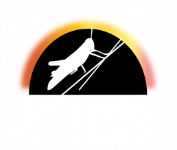 Eclipse soundscapes logo with a silhouette of a grasshopper in front of a dark black half circle representing the Moon with wispy red and yellow haze peeking out from behind the black half circle representing the Sun blocked by the Moon during a solar eclipse. Under the half circle is the project website EclipseSoundscapes.org.