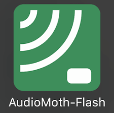 A green square with white audiowaves on it and text that says AudioMoth-Flash