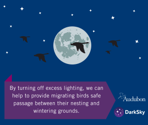 By turning off excess lighting, we can help to provide migrating birds safe passage between their nesting and wintering grounds.