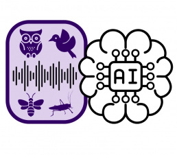 A box labeled “Audio Data” contains a soundwave with small icons of a bird, butterfly, and insect next to a glowing AI brain with circuitry labeled “AI.