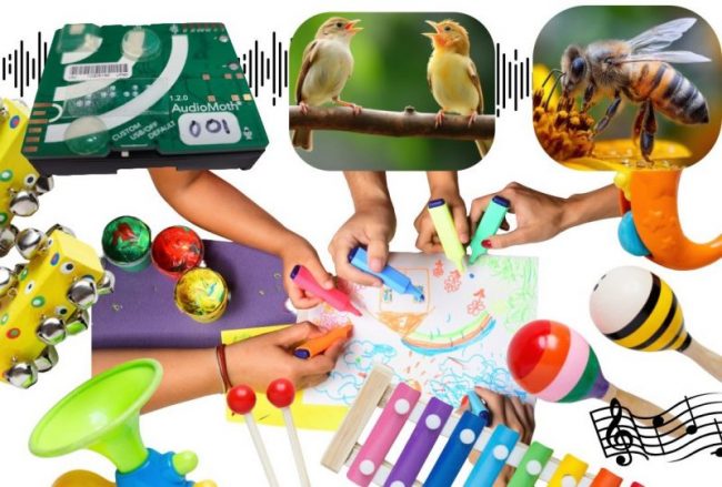 Collage of an AudioMoth recorder, singing birds, a bee on a flower, and children using art supplies and musical instruments.